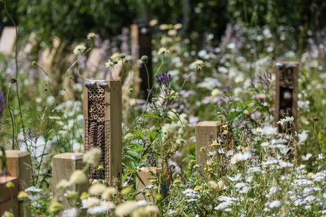 Hampton Court Gardens, Insect Garden, Hampton Court Palace Gardens, Bug Hotel, Insect Hotel, Garden Festival, Urban Nature, Wildlife Gardening, School Garden