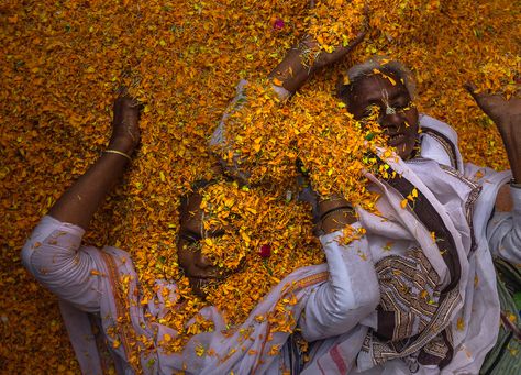 Widow celebrating festival of colors Festival Of Colors, Color Festival, Uttar Pradesh, Spring Festival, Flower Petals, Temple, Festival, India, Celebrities