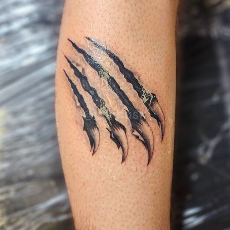 Bear Claw Tattoo Women, Bear Scratch Tattoo, Claw Tattoos For Men, Scratches Tattoo, Claw Mark Tattoo, Tiger Claw Tattoo, Shark Gills, Scratch Tattoo, Bear Claw Tattoo