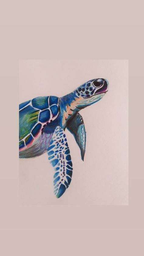 Pencil colour drawing Pencil Colour Drawing, Colored Pencil Artwork Ideas, Biro Drawing, Whale Drawing, Ocean Drawing, Book Reference, Colour Drawing, Turtle Drawing, Sea Life Art