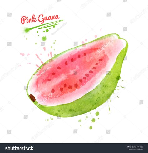 Guava Watercolor, Guava Illustration, Guava Drawing, Gouache Tutorial, Kids Bathroom Art, Fruit Splash, Guava Fruit, Pink Guava, Color Illustration