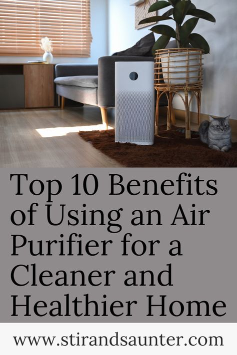 Top ten air purifier benefits Air Purifier Aesthetic, Air Purifier Benefits, Diffuser Benefits, Homemade Detergent, Best Air Purifier, Room Air Purifier, Diy Laundry Detergent, Natural Air Purifier, Eco Friendly Diy