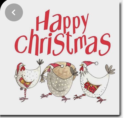 Christmas Card Images, Pet Christmas Cards, Chicken Christmas, Christmas Doodles, Christmas Card Art, Chicken Art, Chicken Humor, Christmas Illustration, Cards For Friends