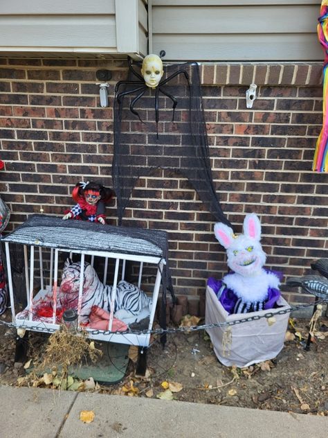 Petting zoo Idea For creepy carnival. Halloween Petting Zoo Ideas, Petting Zoo Ideas, Halloween Zoo, Creepy Carnival, Zoo Ideas, Petting Zoo, Zoo Animals, Holiday Decorations, Carnival