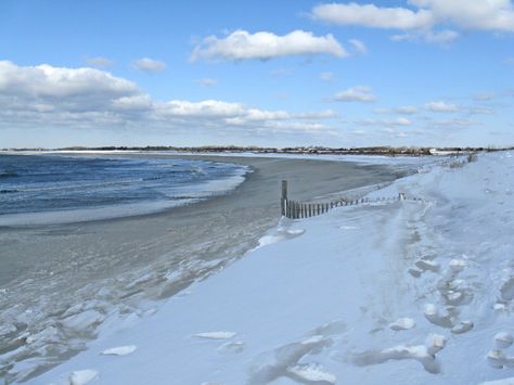 Why I Don’t Understand Ridiculing Otherkin Dewey Beach Delaware, Snow On The Beach, Snow Beach, Dewey Beach, Delaware Beaches, Bethany Beach, Beach Christmas, Beach Wallpaper, Blue Beach