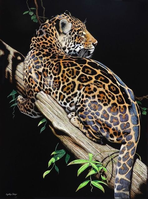 Jaguar Painting, Japanese Tiger Art, Fisher King, Big Cats Photography, Panther Cat, Jaguar Animal, Regnul Animal, Wild Animals Photography, Leopard Art