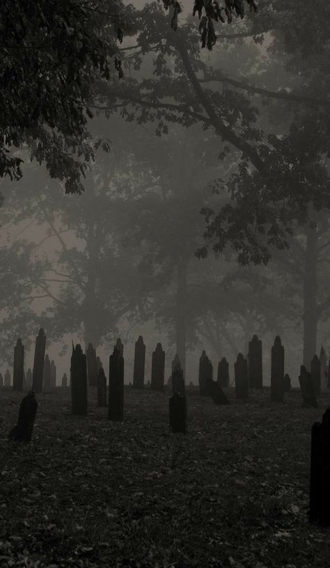 Old Cemetery, Goth Wallpaper, Gothic Wallpaper, Cocoppa Wallpaper, Old Cemeteries, Dark Nature Aesthetic, Gothic Aesthetic, Dark Gothic, Beautiful Dark Art