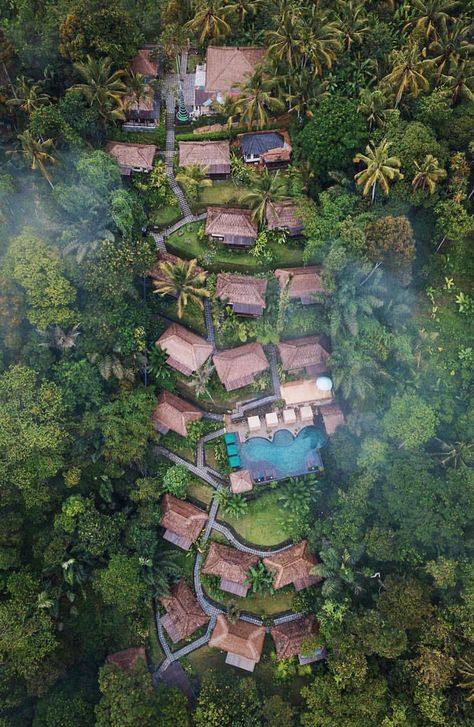 Bali Rainforest, Resort Hotel Design, Rainforest Retreat, Resort Design Plan, Forest Resort, Bali Tour, Resort Plan, Jungle Resort, Jungle House