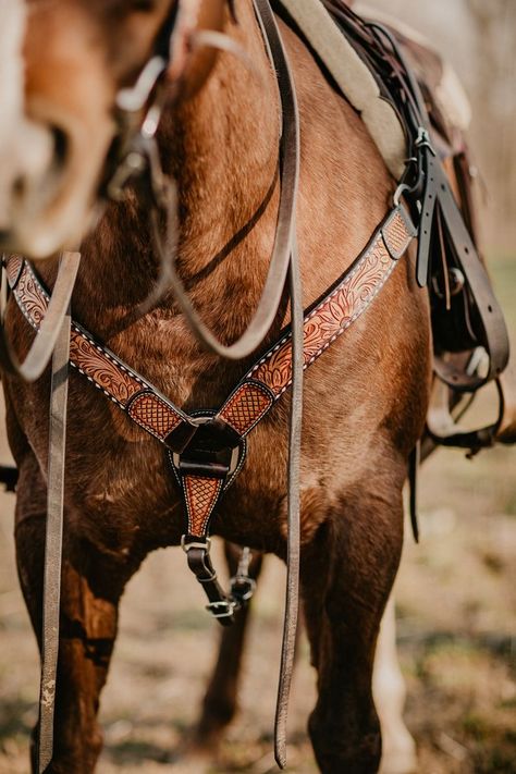 Horse Photography Poses, Cowboy Photography, Western Photo, Western Photography, Tack Shop, Amazon Must Haves, Western Horse Tack, Barrel Horse, Horse Wallpaper