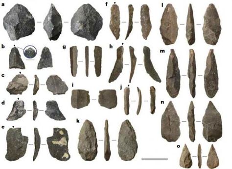 Examples of lithic artefacts from Chiquihuite Cave.a, Core. b–e, Flakes; inlay in b emphasizes an isolated platform. f–j, Blades. k–o, Points. Scale bar, 3 cm. (Ardelean et al.,2020 / Nature) The researchers say that this lithic industry has no parallel in the continent. Stone Tools, University Of Alberta, Early Humans, Indian Artifacts, Ancient Origins, The First Americans, Old Stone, New Things To Learn, New South Wales