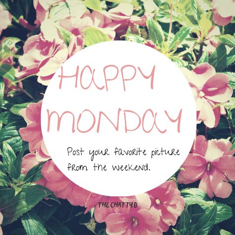 Monday posting to engage more followers. #thechattyb #mondaymotivation #followers #blogger #mommyblogger #lifestyleblogger #mondaymood #mondaymorning #postapic #fun Monday Posts Facebook, Fun Interactive Facebook Posts Monday, Facebook Engagement Posts Monday, Monday Mary Kay Post, Monday Social Media Engagement, Interactive Posts Facebook Monday, Monday Engagement Posts Social Media, Monday Facebook Interaction Posts, Monday Scentsy Post