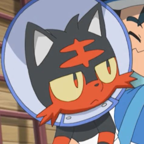 Litten Pokemon Pfp, Litten Wallpapers, Pokemon Profile Picture, Pokemon Litten, Litten Pokemon, Pokemon Amv, Pokemon Pfps, Pokemon Icon, Pokemon Starters