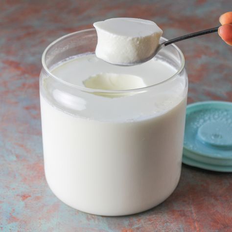 How to make thick and creamy lactose free homemade yogurt - Luvele US Thick Yogurt Recipe, Non Dairy Yogurt Recipe, Lactose Free Milk Recipes, Lactose Free Yogurt Recipe, Lactose Free Yogurt, Dairy Free Yogurt Recipe, Dairy Free Greek Yogurt, Yogurt Homemade, Yogurt Making