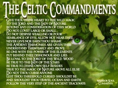 Celtic Paganism, Weird Ideas, Celtic Druids, Celtic Heritage, Irish Quotes, Celtic Mythology, Irish Blessing, Celtic Symbols, Irish Heritage