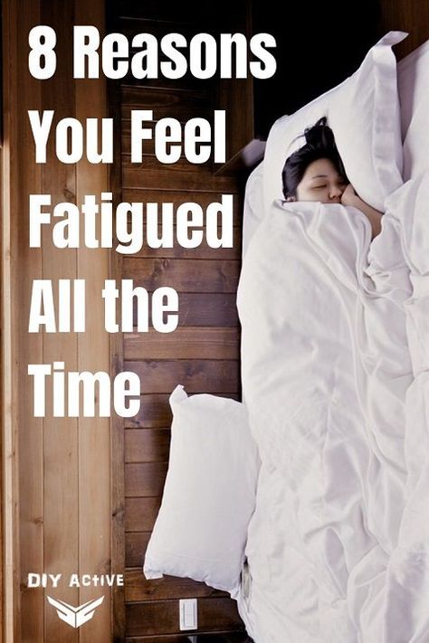 8 Reasons You Feel Fatigued All the Time @DIYActiveHQ #sleeptips #sleep #health Lose Stomach, Can Not Sleep, Snoring Remedies, How To Stop Snoring, Feeling Fatigued, Workout Plan For Women, Sleep Health, When You Sleep, Stubborn Belly Fat