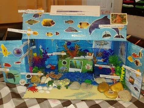 Diorama for 3rd Grade Science Project. Use multiple mediums to enhance color, diversity, and tactile sensations. Included threatened, endangered, and extinct species. Includes plant and animal species. Coral Reef Diorama Projects, Coral Reef Diorama, Ecosystems Projects, Coral Reef Art, Biome, School Project, Great Barrier Reef, Coral Reef, School Projects