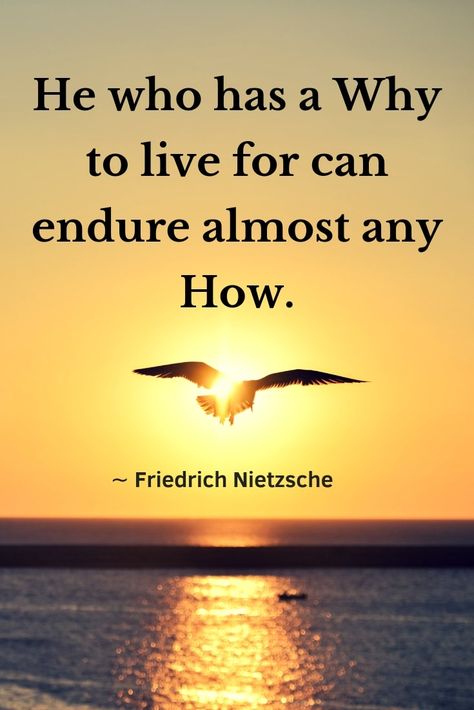 "He who has a Why to live for can bear almost any How." ∼ Friedrich Nietzsche Quote from Viktor Frankl's Man's Search For Meaning. These wise words about life are so true. When you know your "Why" you will find and endure the best "how". #manssearchformeaning #quotes #hewhohasawhytolivefor Words About Life, Know Your Why, Alchemist Quotes, Meaning Quotes, Man's Search For Meaning, Nietzsche Quotes, Viktor Frankl, Inspirational Quotes From Books, Survival Quotes