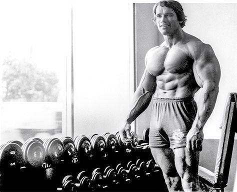 Bodybuilding.com - ARNOLD'S BLUEPRINT FOR MAMMOTH SHOULDERS AND ARMS Arnold Schwarzenegger Training, Arnold Blueprint, Arnold Schwarzenegger Workout, Arnold Bodybuilding, Arnold Schwarzenegger Bodybuilding, Schwarzenegger Bodybuilding, Patrick Schwarzenegger, Bodybuilding Pictures, Bodybuilding Training