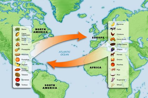 columbian exchange Multi Flow Map, Columbian Exchange, Flow Map, 5th Grade Social Studies, The Oregon Trail, Learn Portuguese, Ap World History, By Any Means Necessary, Teaching Social Studies