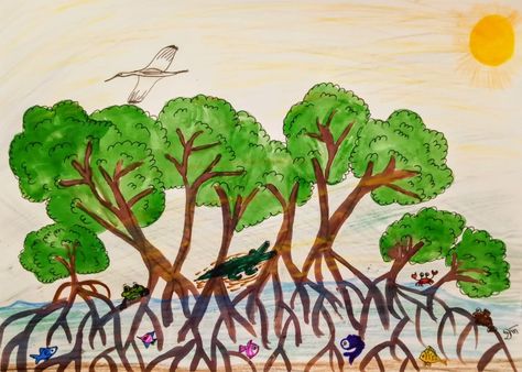 Mangrove Drawing, Forest Drawing Easy, Mangrove Ecosystem, Sustainable Management, Forest Ecosystem, Forest Drawing, Mangrove Forest, Beautiful Forest, Replant