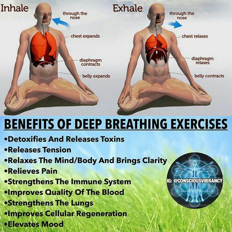 Yoga Breathing Techniques, Pranayama Yoga, Yoga Breathing, Deep Breathing, Lungs Health, Deep Breathing Exercises, Easy Yoga Workouts, Qi Gong, Restorative Yoga