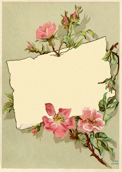 Vintage Rose Frame Postal Vintage, Vintage Borders, Rose Images, Graphics Fairy, Rose Frame, Borders And Frames, Vintage Printables, Vintage Labels, Wild Roses