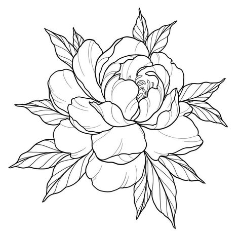 Geometric Flower Drawing, Peony Linework, Peony Tattoo Sketch, Peony Line Drawing, Peony Flower Drawing, Peony Outline, Peony Stencil, Japanese Peony Tattoo, Peony Flower Tattoos