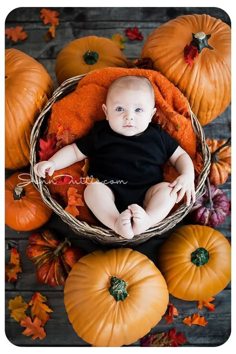 6 month old fall photos, pumpkins Fall Baby Photos, Fall Baby Pictures, Photo Bb, October Baby, Baby Photoshoot Boy, Baby First Halloween, Fall October, Halloween Photography, Fall Family Pictures