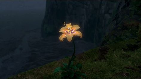 Flower From Tangled, Tangled 2010, Golden Flower, Rapunzel, Tangled, On Tumblr, The Sun, Laptop, Sun