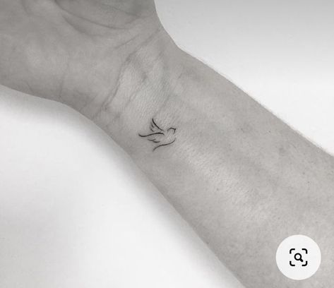 Tattoos That Fade Well, Petite Bird Tattoo, Robin And Butterfly Tattoo, Bluebird Line Tattoo, Dainty Robin Tattoo, Wren Bird Tattoo Simple, Small Robin Tattoo Black And White, Small Bird Outline Tattoo, Fine Line Blue Bird Tattoo