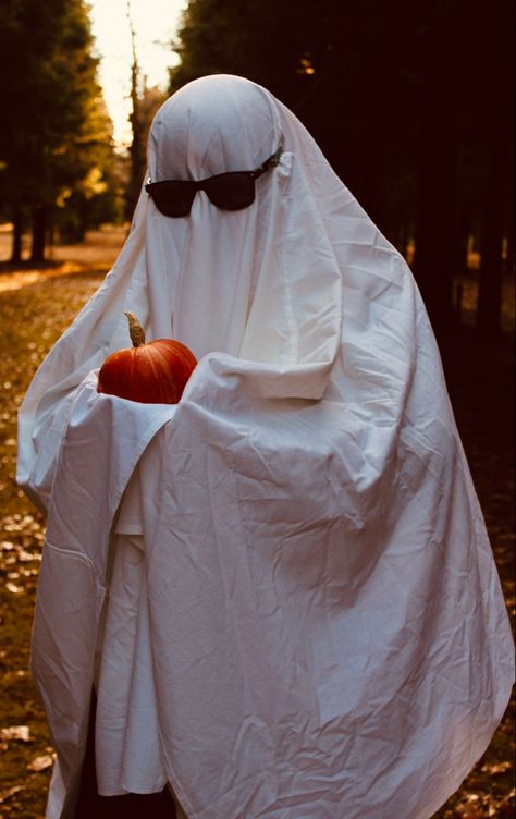 Pumpkin Ghost Costume, Ghost Shoot, Ghost Challenge, Ghost Holding Pumpkin, Fotos Halloween, Sheet Ghosts, Goofy Cats, Ghost Photoshoot, Pumpkin Field