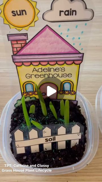 Caffeine & Classy on Instagram: "How adorable are these little grass house greenhouses to learn about plant lifecycles!!! You can create your own little village with your class! 🏡 #teacherspayteachers #kindergarten #firstgradeteacher #secondgradeclassroom #teachingideas" Preschool Greenhouse, How Plants Grow Preschool Craft, Green House Effect Science Project, How Plants Grow Preschool, Plants And Seeds Grade 1, Farmers Market Birthday Party, School Kids Activities, Planting Grass, Flower Birthday Party