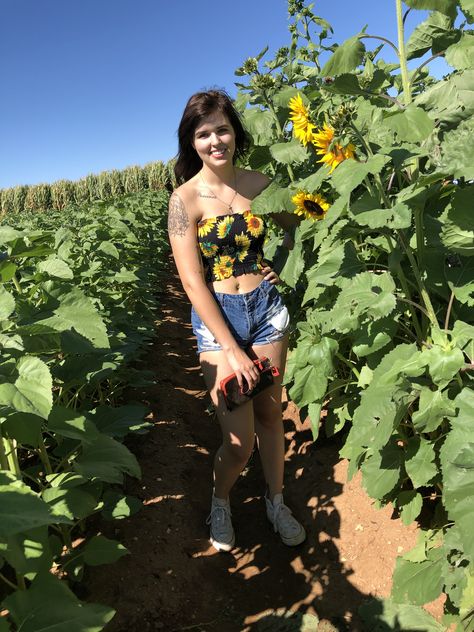 Cute sunflower crop top, shorts and converse! Great Combination Shorts And Converse, Sunflower Patch, Popular Outfits, Sunflower, Converse, Crop Tops