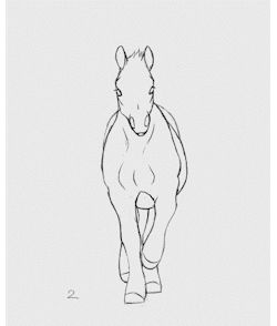 Horse Walking Animation, Animal Animation, Animation Drawing Sketches, Horse Animation, Animal Movement, Animation References, Horse Anatomy, Animation Sketches, Animation Tutorial