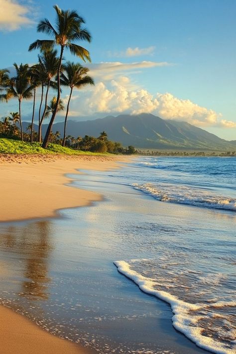 Discover the Beauty of Kahului Beach in Hawaii, USA 🏝✨ Relax on the scenic shores of Kahului Beach, known for its golden sands, clear blue waters, and stunning views of the Maui coastline. Enjoy the perfect blend of relaxation and adventure in this Hawaiian paradise. 🌿🌞 #KahuluiBeach #HawaiiParadise #BeachEscape #TravelInspiration Kahului Hawaii, Beach In Hawaii, Beach Hawaii, Clear Blue Water, Hawaii Usa, Beautiful Locations Nature, Wide World, Beach Sand, Stunning View