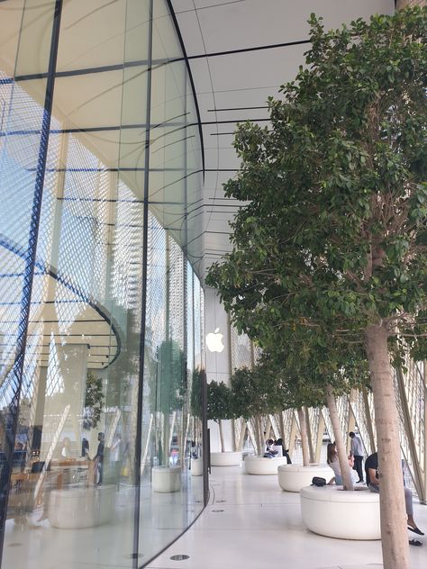 Apple Store Dubai Mall, Apple Store Dubai, Dubai Luxury, Historical Buildings, Luxury Aesthetic, Dubai Mall, Apple Store, Architectural Design, Best Cities