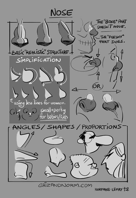 Tuesday Tip —- The Nose  Here’s the way I approach the nose. For my taste, the simpler, the better. But it’s always good to know what you’re working with. great Tuesday!  -Norm Draw Noses, رسم كاريكاتير, 얼굴 드로잉, Draw Cartoon, Drawing Lesson, Nose Drawing, Gesture Drawing, Nose Art, Cartoon Faces