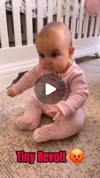 Laughing Babies Video, Funny Baby Videos Hilarious Kids, Funny Babies Videos, Baby Videos Cute, Baby Laughing Video, Baby Funny Videos, Funny Kids Videos, Baby Humour, Funny Baby Cartoon