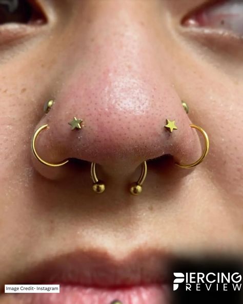 Forward Facing Nostril Piercing, Forward Nostril Piercing, Star Septum Piercing, Mantis Piercing, Septum Piercing Flipped Up, Gold Septum And Nostril Piercing, Star Piercings Nose, Spike Nostril Piercing, 3 Lobe Piercings