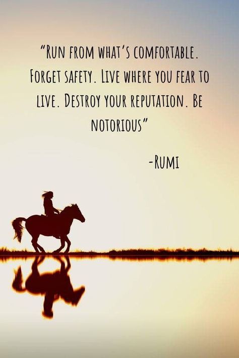 Quotes Rumi, Maulana Rumi, Endurance Riding, Rumi Quotes Soul, Horse Breeding, Rumi Poetry, Rumi Love Quotes, Rumi Love, First Love Story