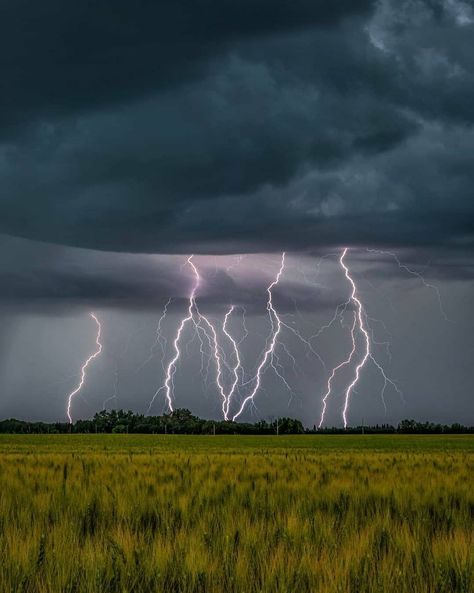 *🇨🇦 Lightning (Alberta) by Mark Jinks (@markjinksphoto) • Instagram 🌾⚡️ Apr-24-2021 / Mar-28-2022 Thunder Photography, Lighting Storms, Gloomy Weather, Weather Science, Storm Photography, Photography Genres, World Wallpaper, Lightning Storm, Edmonton Alberta