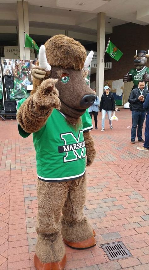 Marshall Football, University Aesthetic, Marshall University, Virginia Homes, My Heritage, Dream Board, Cute Crafts, West Virginia, Virginia