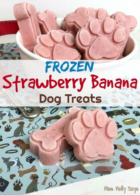 Banana Dog Treats, Homemade Dog Cookies, Pet Treats Recipes, Dog Treats Homemade Easy, Easy Dog Treat Recipes, Frozen Dog Treats, Frozen Strawberry, Dog Biscuit Recipes, Easy Dog Treats