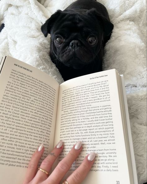 Black Pug Aesthetic, Trendy Nails Gold, Pug Aesthetics, Massie Block, Book Motivation, Pug Black, Nails Pearl, Black Pugs, Inspiration Nails