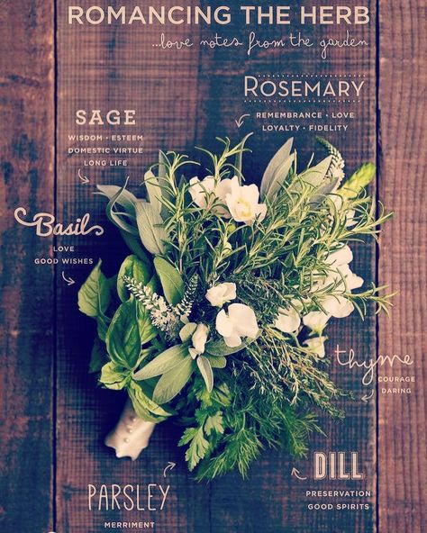 How do we feel about using herbs in place of flowers for wedding bouquets?! Personally I'm all in on this trend! 📷 cred - pinterest #herbs #wedding #nature #naturewedding #herbbouquet #woodsywedding #centraloregonwedding #centraloregonbride #weddingflowers #meaningsbehindit Herb Bouquet Wedding, Herbal Bouquet Wedding, Wedding Herbs, Herbs Bouquet, Bouquet With Herbs, Herbal Wedding, Woodsy Wedding Bouquet, Basil Bouquet, Rosemary Bouquet