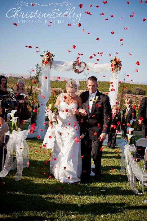 My 'Signature' rose petal recessional cascade shot from air cannons. Putting the WOWfactor in your wedding. Photo by Christine Sedley, By 'RocNRev' Michael Taylor, Officiant and FunTime DJ   www.atyourserviceweddings.net Air Cannon, Michael Taylor, Purple Wedding Theme, Coast Wedding, Wedding Professional, Wedding Service, Event Venues, Rose Petals, Barn Wedding