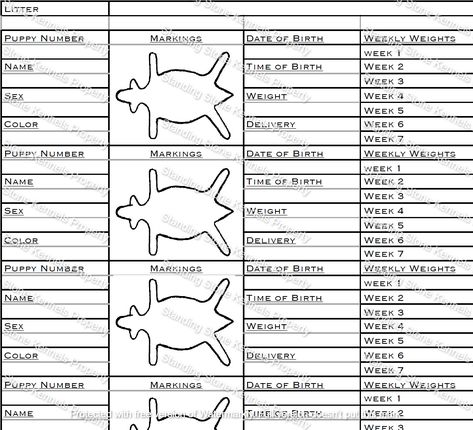 Preparing For A Litter Of Puppies, Puppy Litter, Diagram Chart, Standing Stone, Date Of Birth, Service Dog, Important Information, Weaning, Dog Kennel