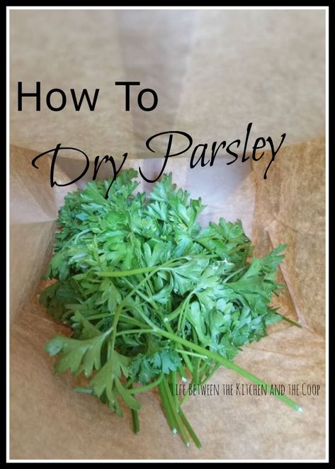 Drying Parsley, Preserving Zucchini, Preserve Fresh Herbs, Drying Fresh Herbs, Food Dehydration, Parsley Recipes, Preserving Herbs, Canned Food Storage, Herb Garden Design