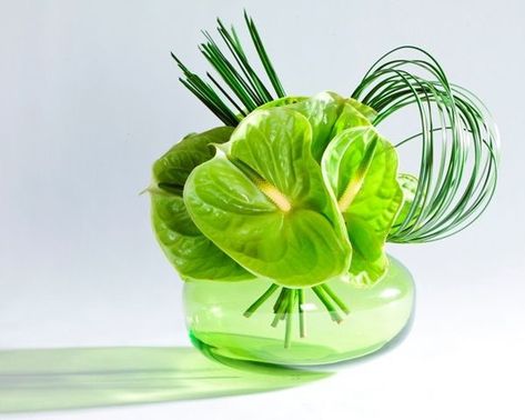 Green Anthurium, Decoration Buffet, Floristry Design, Tropical Floral Arrangements, Hotel Flowers, Small Flower Arrangements, Anthurium Flower, White Flower Arrangements, Table Flower Arrangements