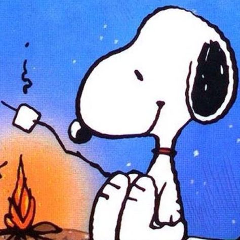 Snoopy Snoopy Matching Pfp, Lucy Charlie Brown, Peanuts Snoopy Comics, Activities For Seniors, Woodstock Snoopy, Peanuts Cartoon, Snoopy Wallpaper, Peanuts Characters, Snoop Dog